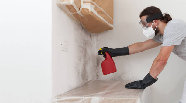 Professional Attic Mold Remediation technician working in Fairfield, TX