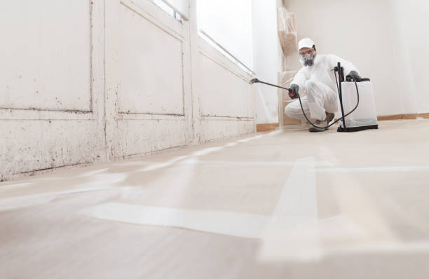 24/7 Emergency Attic Mold Remediation experts in Fairfield, TX