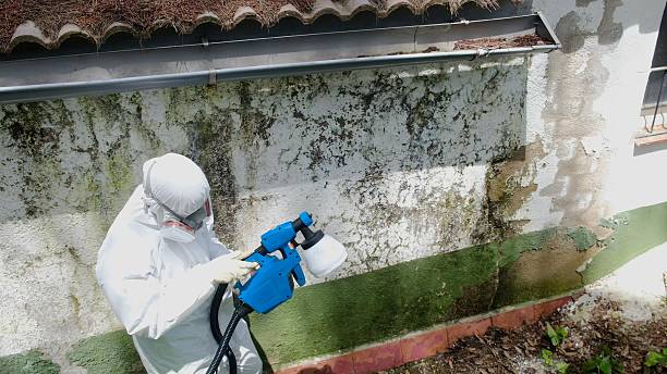 Top rated local Attic Mold Remediation specialists in Fairfield, TX